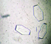 [Figure 1]