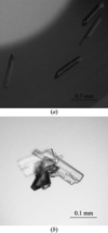 [Figure 1]