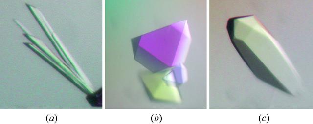 [Figure 1]