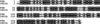 [Figure 1]