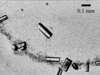 [Figure 2]