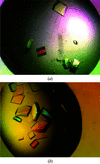 [Figure 1]