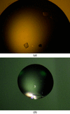 [Figure 1]