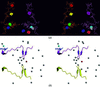 [Figure 3]