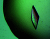 [Figure 2]