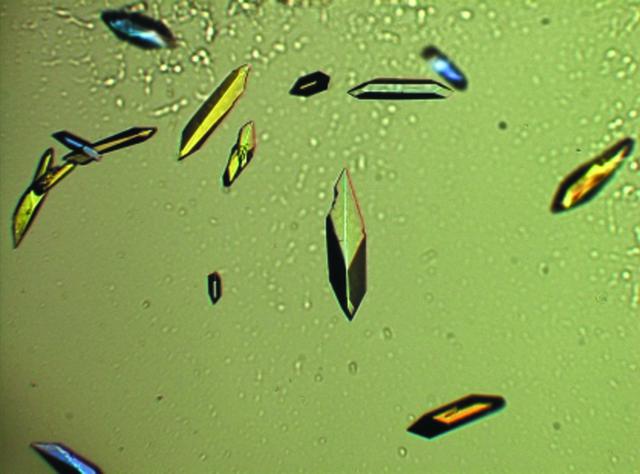 [Figure 1]