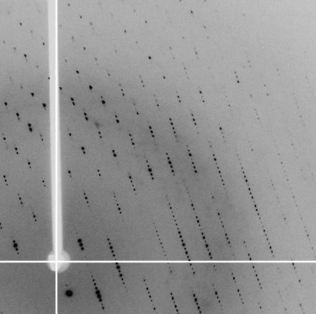 [Figure 2]