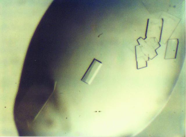 [Figure 1]