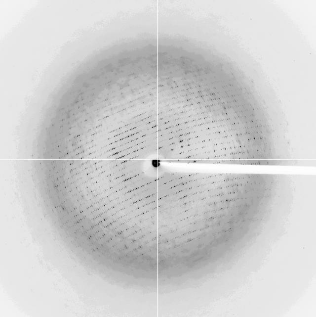[Figure 2]
