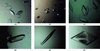 [Figure 2]