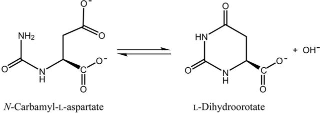 [Figure 1]
