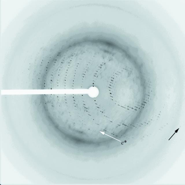 [Figure 3]