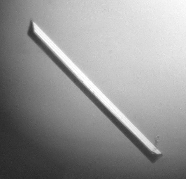 [Figure 1]