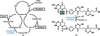 [Figure 1]