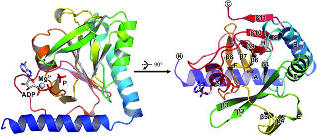 [Figure 2]