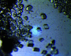 [Figure 1]