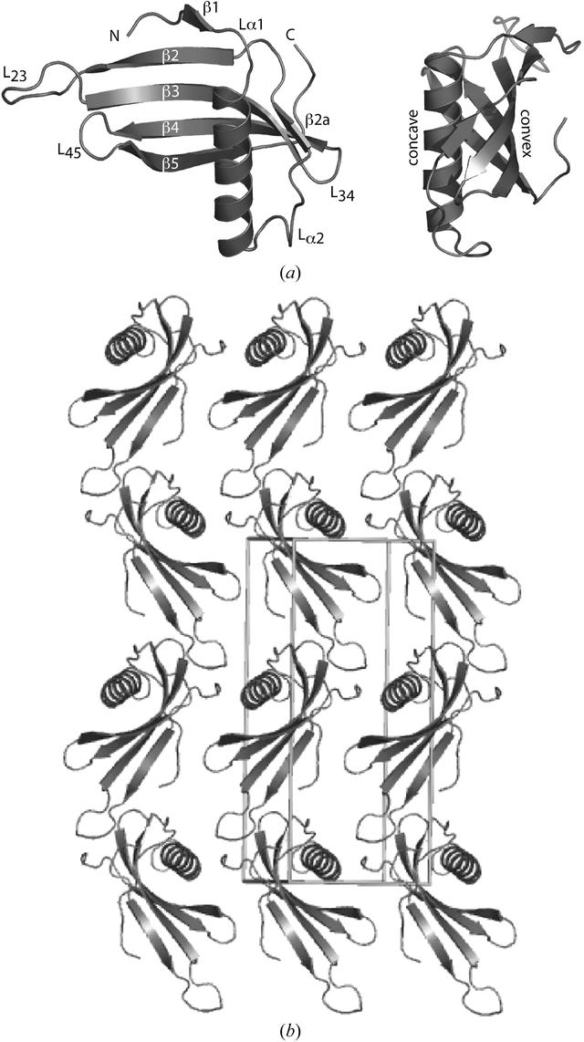 [Figure 1]