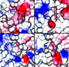 [Figure 4]