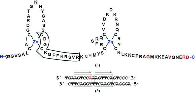[Figure 1]