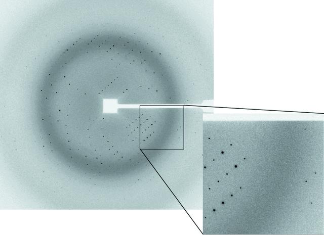 [Figure 5]