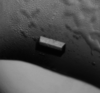 [Figure 1]