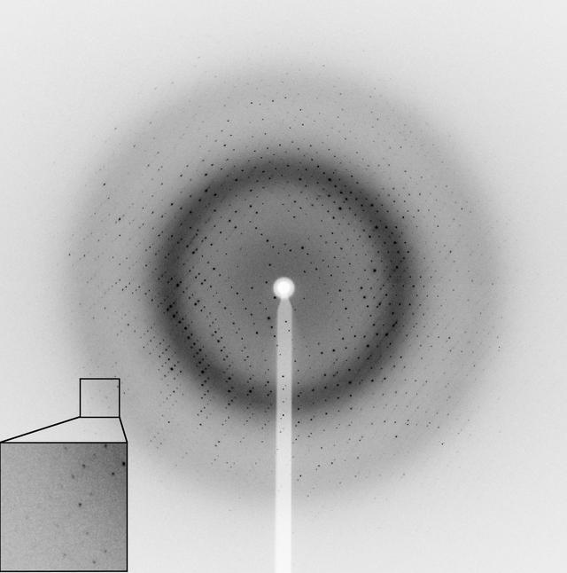 [Figure 2]