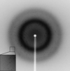 [Figure 2]