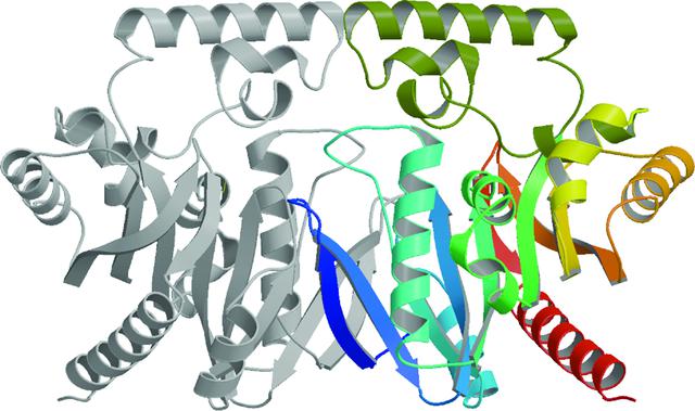[Figure 3]