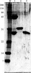 [Figure 3]