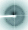 [Figure 5]