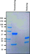 [Figure 2]