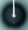 [Figure 3]