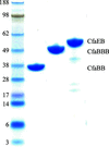 [Figure 1]