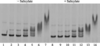 [Figure 4]