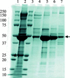 [Figure 1]