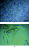 [Figure 2]