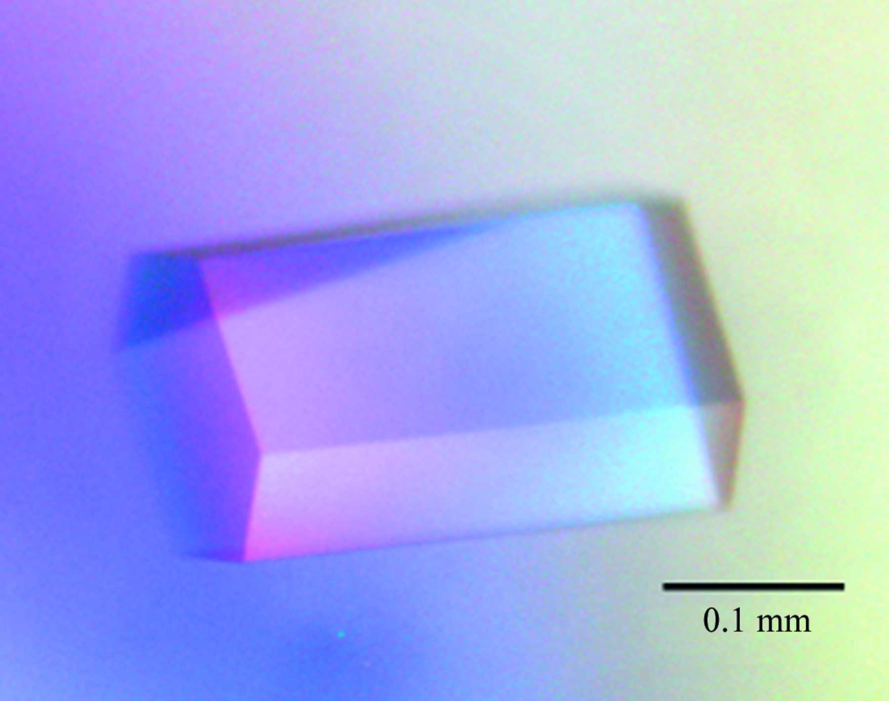 Iucr Crystallization And Preliminary X Ray Analysis Of Flap