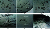 [Figure 1]