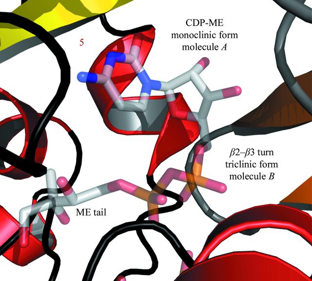 IUCr A Triclinic Crystal Form Of Escherichia Coli 4 Diphosphocytidyl