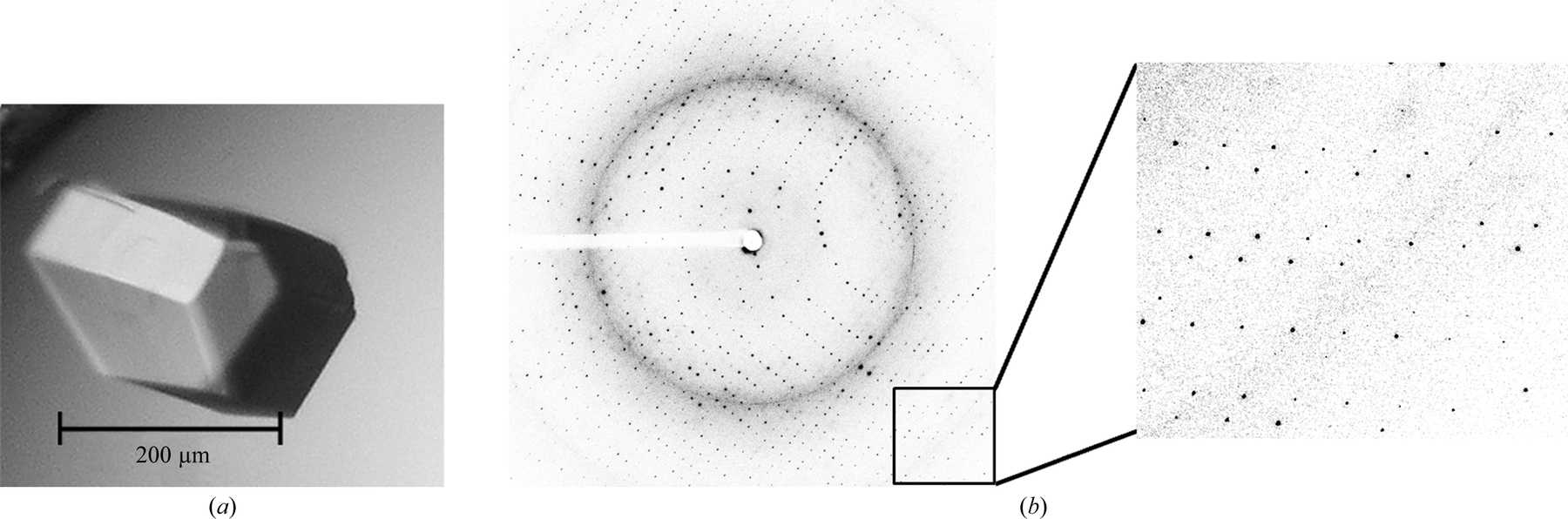 Iucr Crystallization And Calcium Sulfur Sad Phasing Of The Human Ef