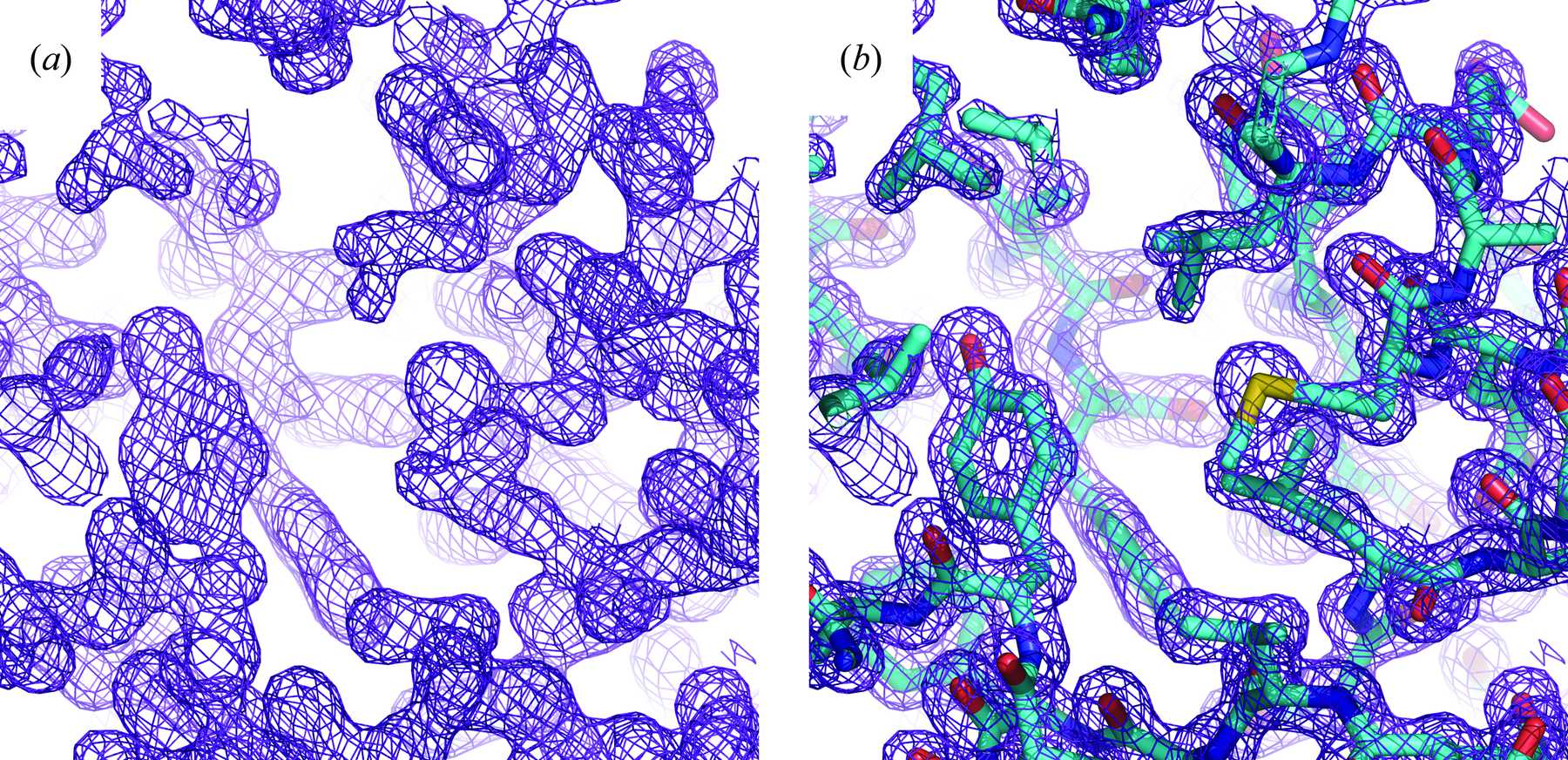 IUCr Crystallization And Calcium Sulfur SAD Phasing Of The Human EF