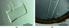 [Figure 1]