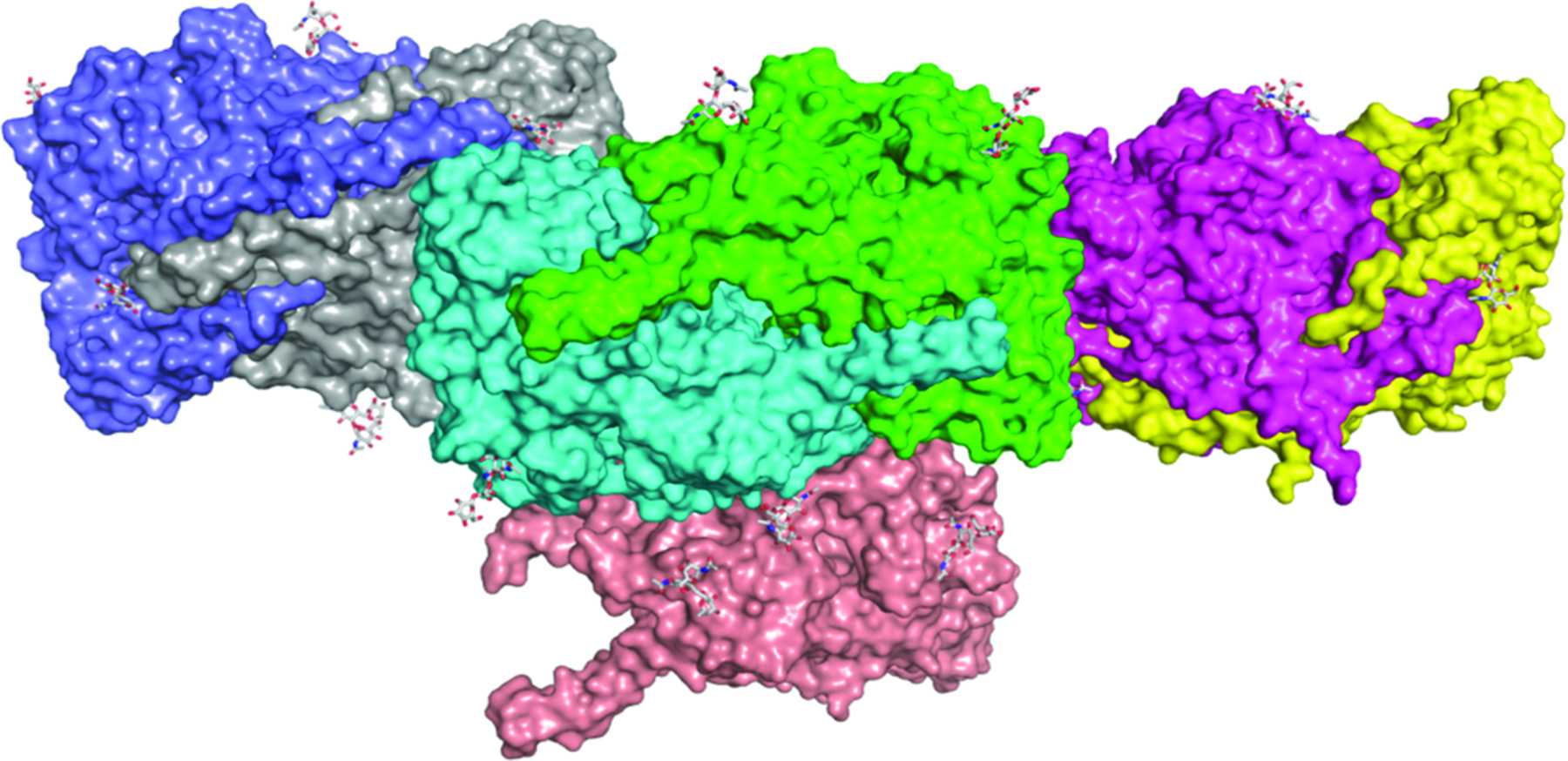 Iucr A New Crystal Form Of Human Vascular Adhesion Protein