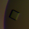 [Figure 1]