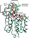 [Figure 4]