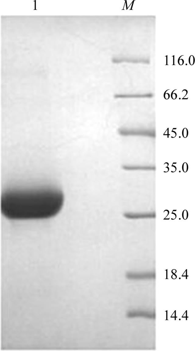 Iucr Cloning Expression Purification Crystallization And