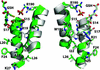 [Figure 4]