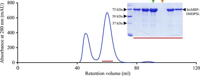 [Figure 1]