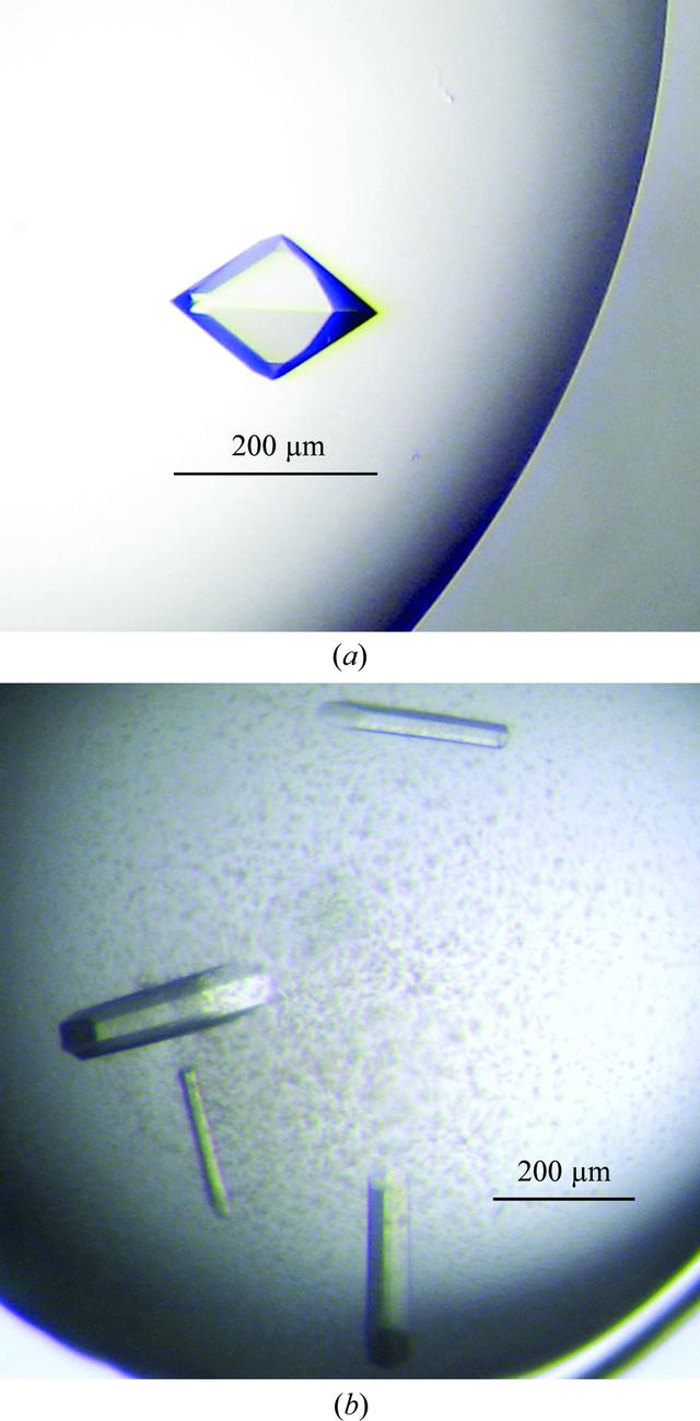 [Figure 2]