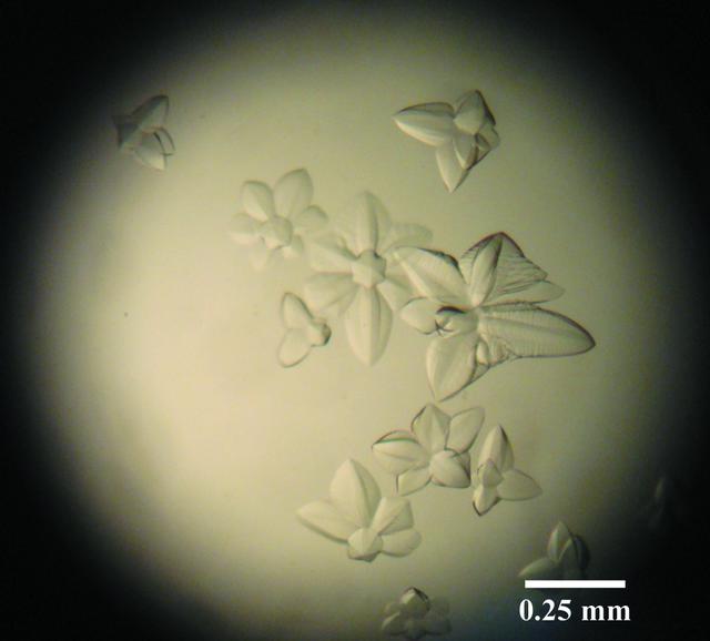 [Figure 3]